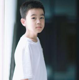 王子辰个人资料,才华横溢的年轻艺术家，闪耀舞台的璀璨星辰