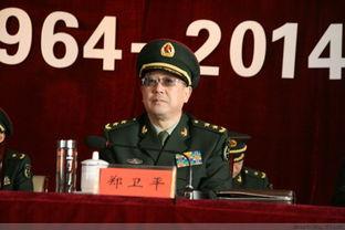 郑卫平背景,从基层奋斗者到行业领军者的蜕变之路