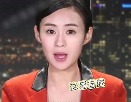 郑和惠子表情包,穿越时空的友谊与智慧